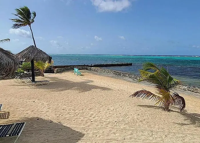 Sea Turtle Condo With Loaded Amenities